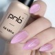 Гел лак PNB 8 мл 260